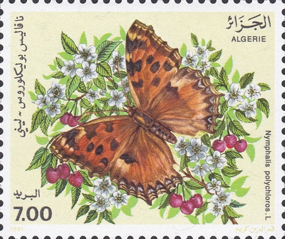 Coat of Arms of Oran