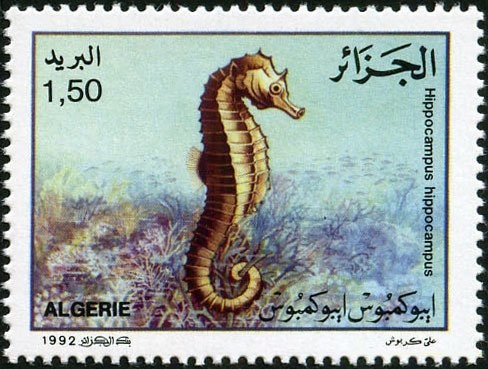 El Mokrani Castle, Bordj Bou Arreridj