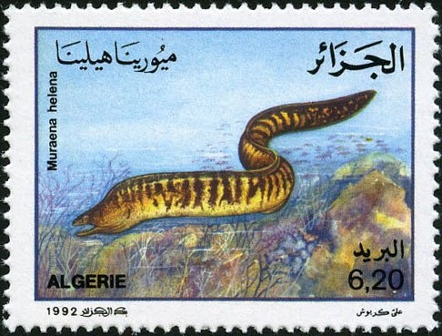 Sidi Abderahmane Mosque