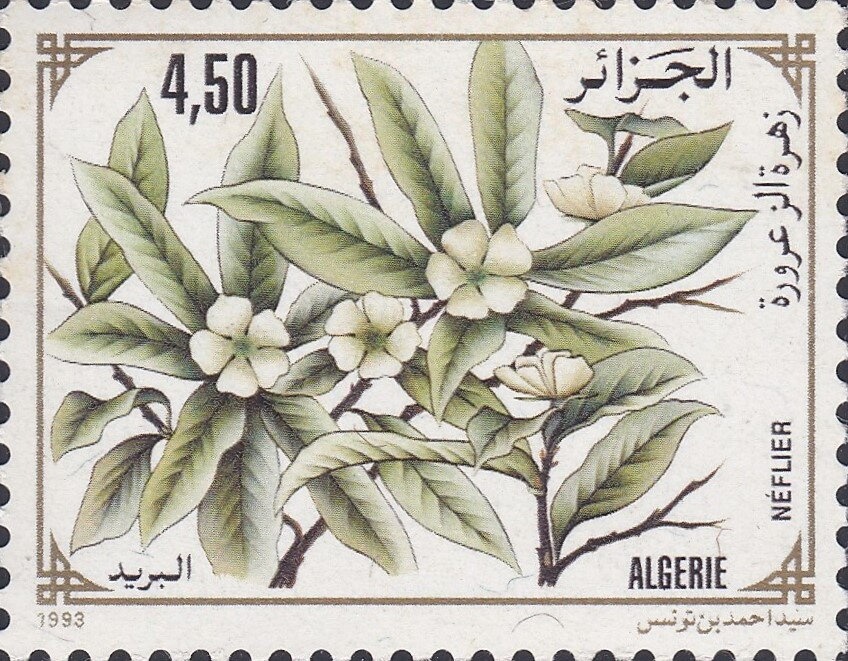 Emiliano Zapata (1879-1919), Mexican Revolutionary