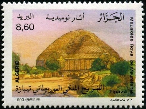 Black-bellied Sandgrouse (Pterocles orientalis)