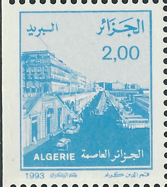 Northern Bald Ibis (Geronticus eremita)