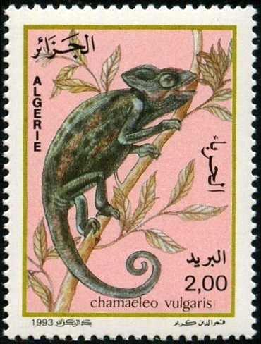 World Cup 2002 Japan - South Korea