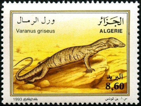 Fenètre Hassen Pasha Palace (Algiers)