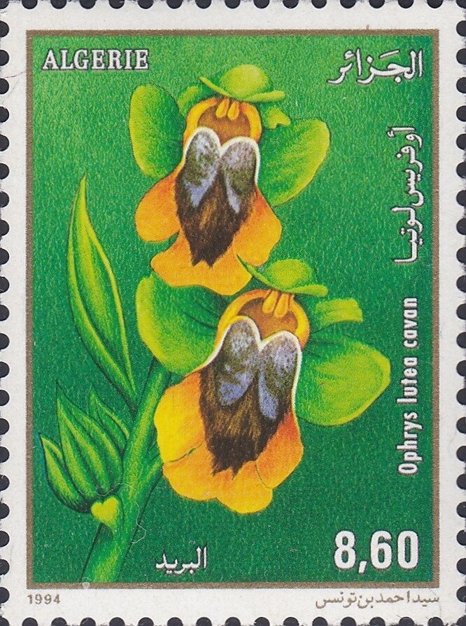 Church St. Miquel d'Engolasters