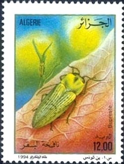 International Day of Living Together in Peace