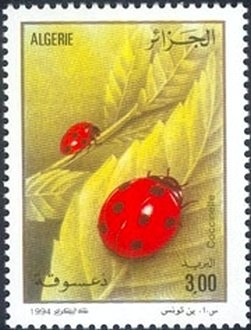 Black Stork (Ciconia nigra)