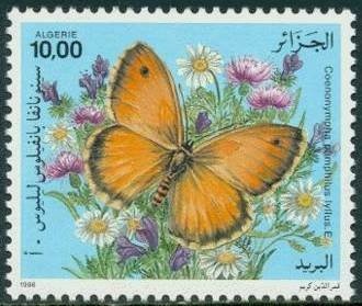 Santa's Sleigh Over Alderney