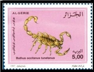 Potez 56 Airplane over Algiers Harbor