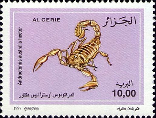 31st Anniversary of the National Office of Weights & Measure