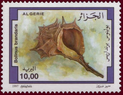 Type Blanc - overprinted "ALGERIE"