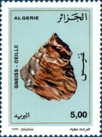 Eurasian Curlew (Numenius arquata)