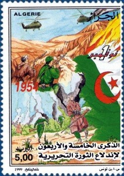 Northern Bald Ibis (Geronticus eremita)