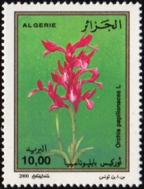 35th anniversary of Independence and Youth