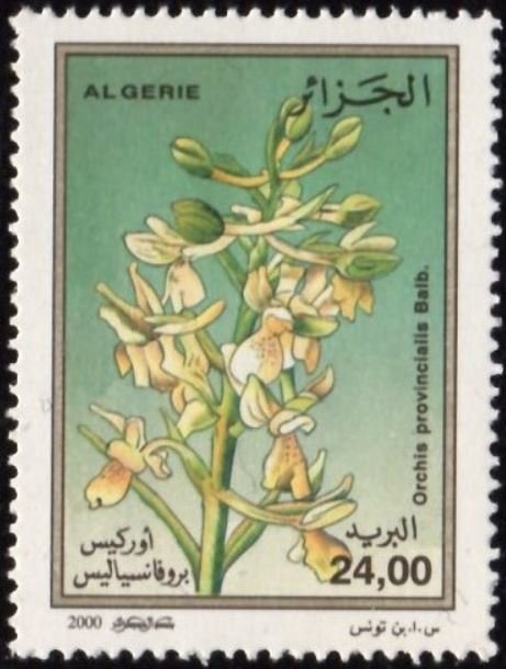 Arch of Triumph, Lambese