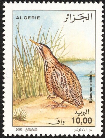 Type Blanc - overprinted "ALGERIE"