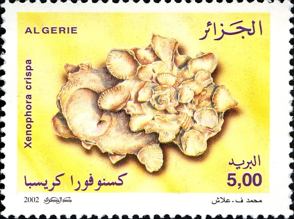 2nd anniversary of the 1989 Constitution