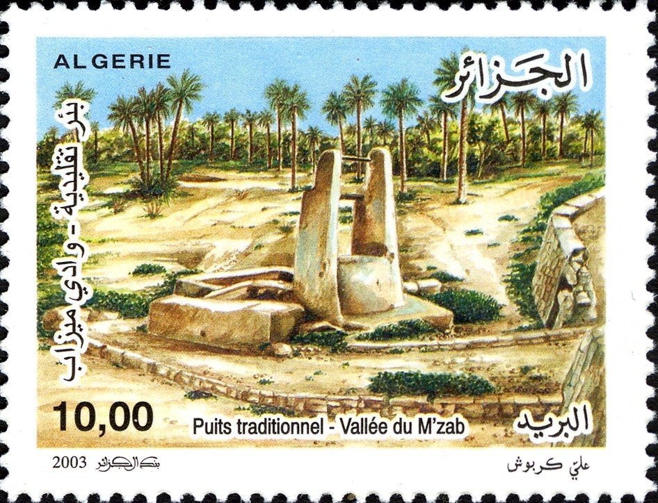 Turk's cap lily - Lilium pyrenaicum