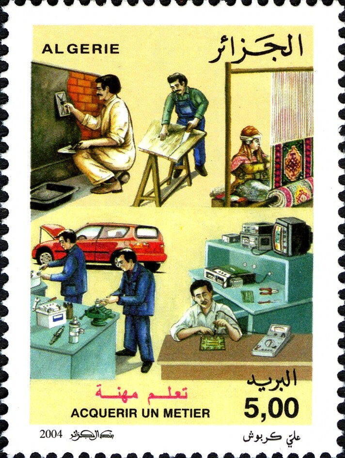 Carnation (Dianthus caryophyllus)