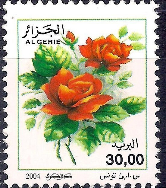 The Benefit of Victims of the d'Orléansville Earthquake