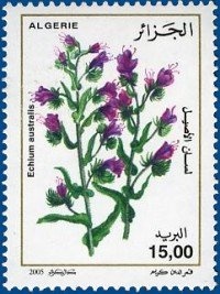 Protecting Children in Cyberspace