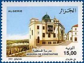 Temminck's Lark (Eremophila bilopha)