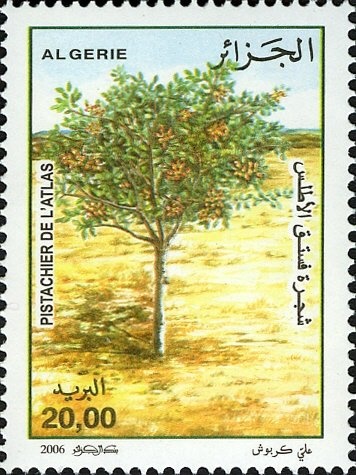 National People's Army - Air defence