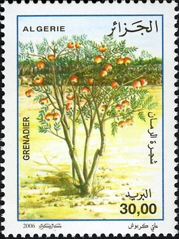 Mausoleum of Sidi Abderrahmane (Algeria)