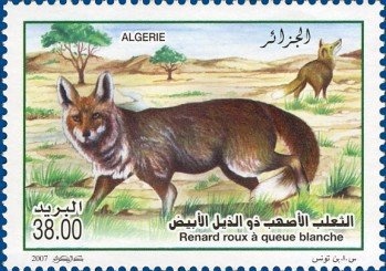 Prestige Booklet - Garrison Island Part III