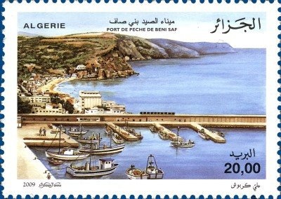 Pyrenaen Cow (Bos primigenius taurus)