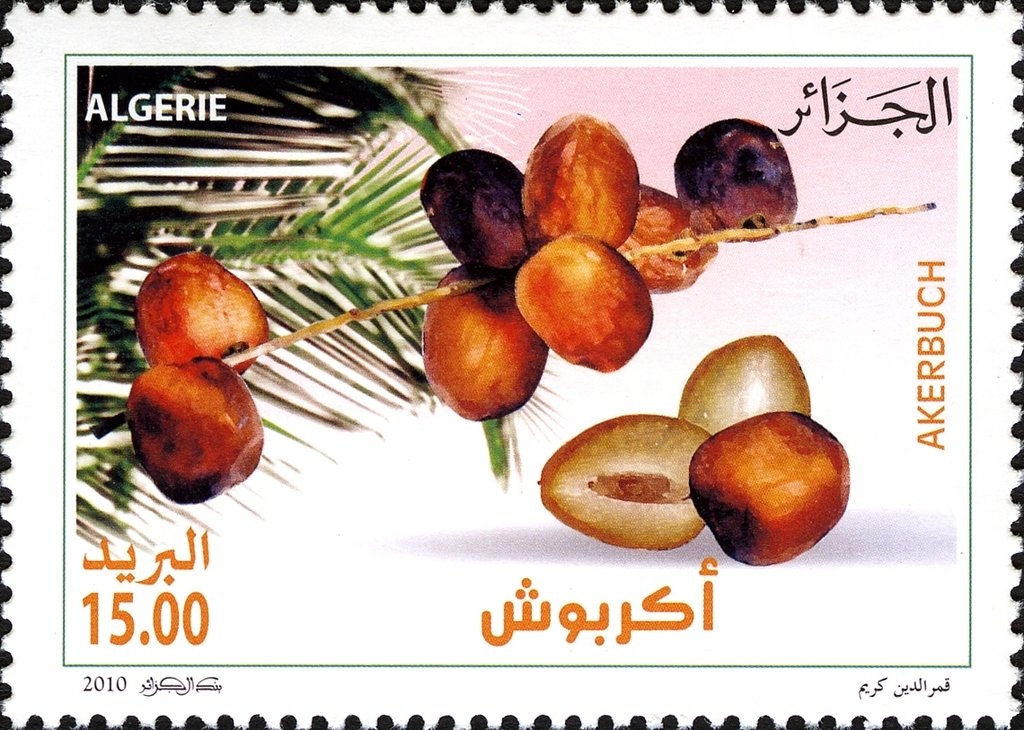 Patio of Bardo Museum