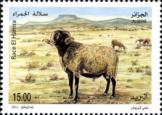 Mosque of Sidi Abd er-Rahman surcharged