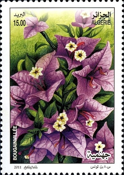 Water drop with the largest diamond