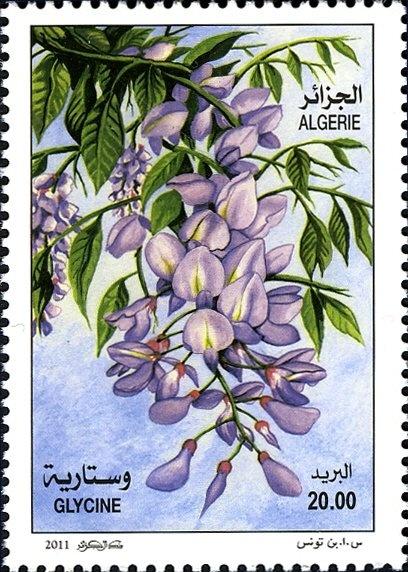 30th anniversary of Anti-French Riots (11 December 1960)