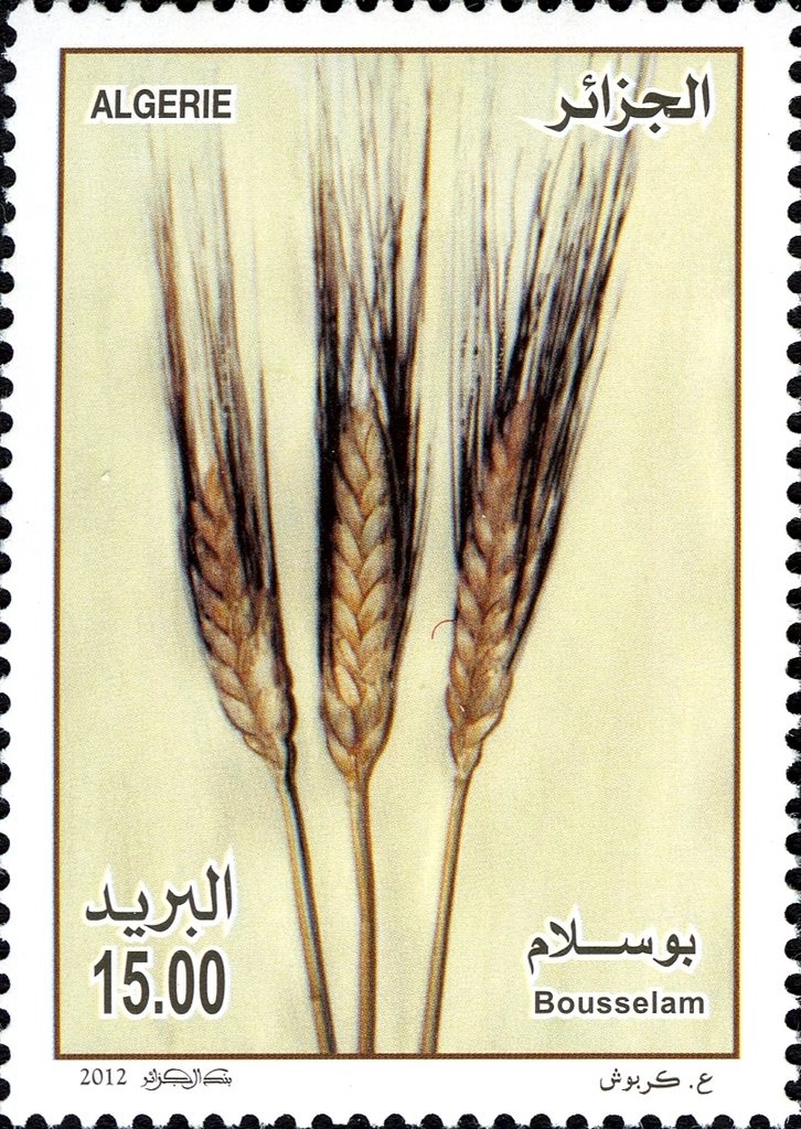 Building of the Seat