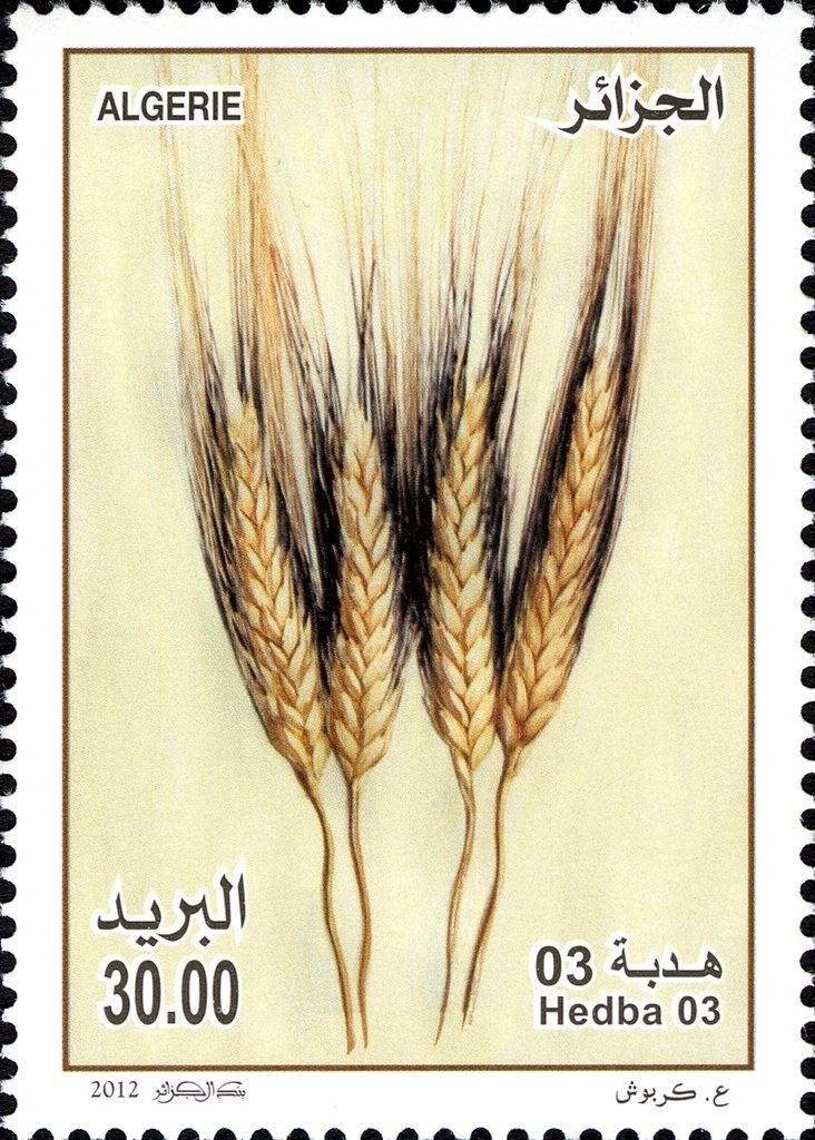 Alep, overprinted in black