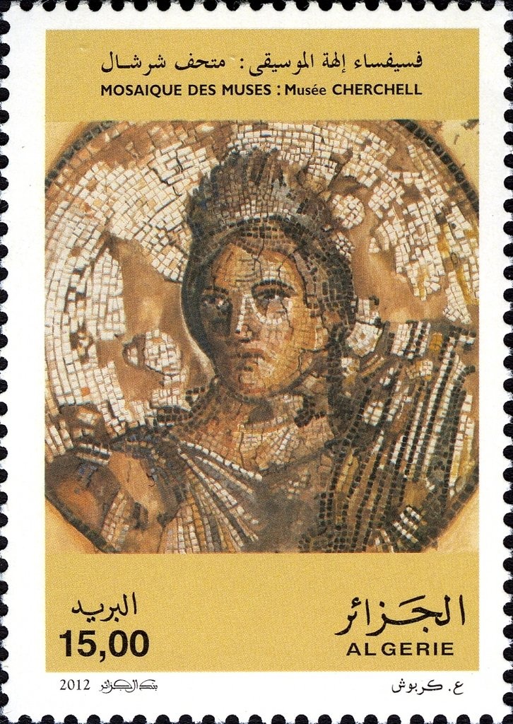 Barbary Macaque (Macaca sylvanus)