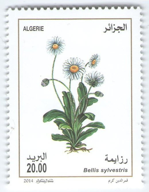 Altar Piece Sant Marc i Santa Maria