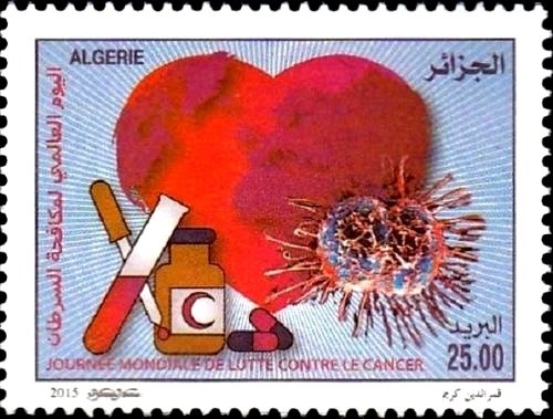 Barbary Macaque (Macaca sylvanus)