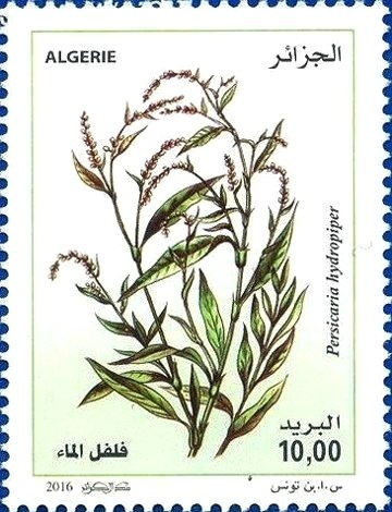 Coat of arms (stone carving) at the old town hall of Andorra