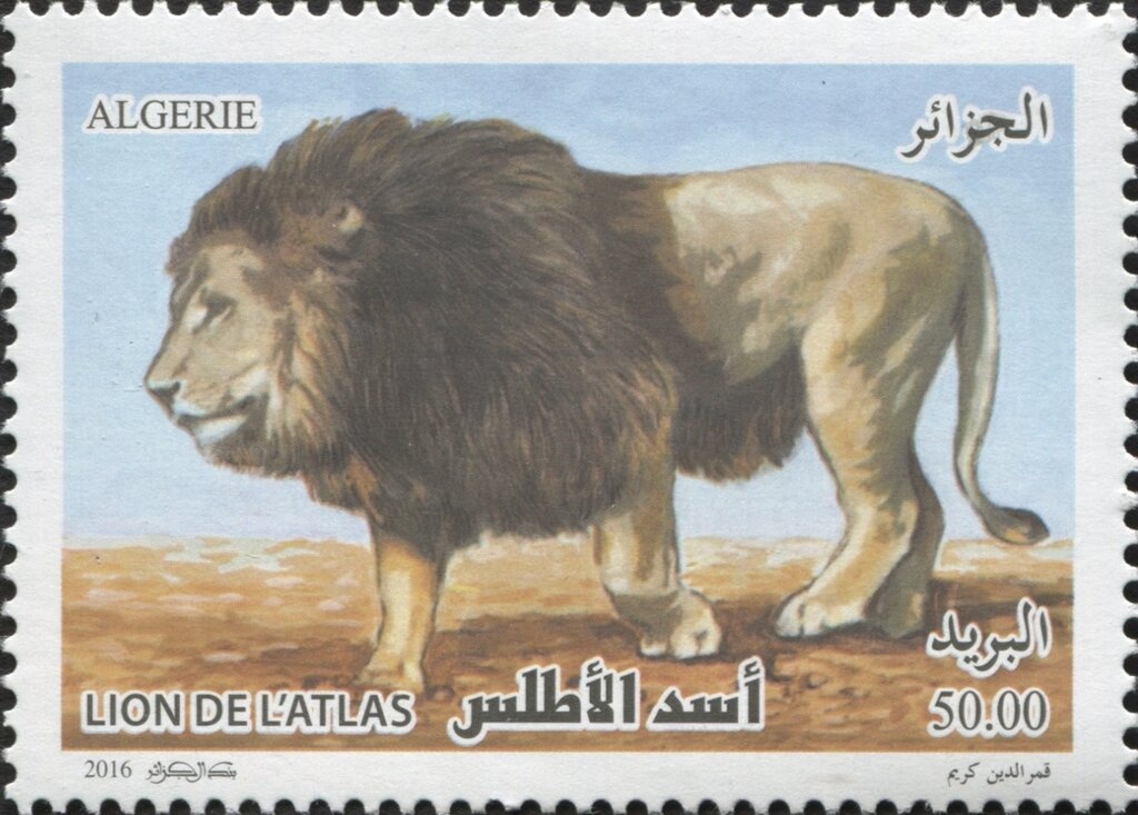 Nurse and Hospital Verdun at Alger