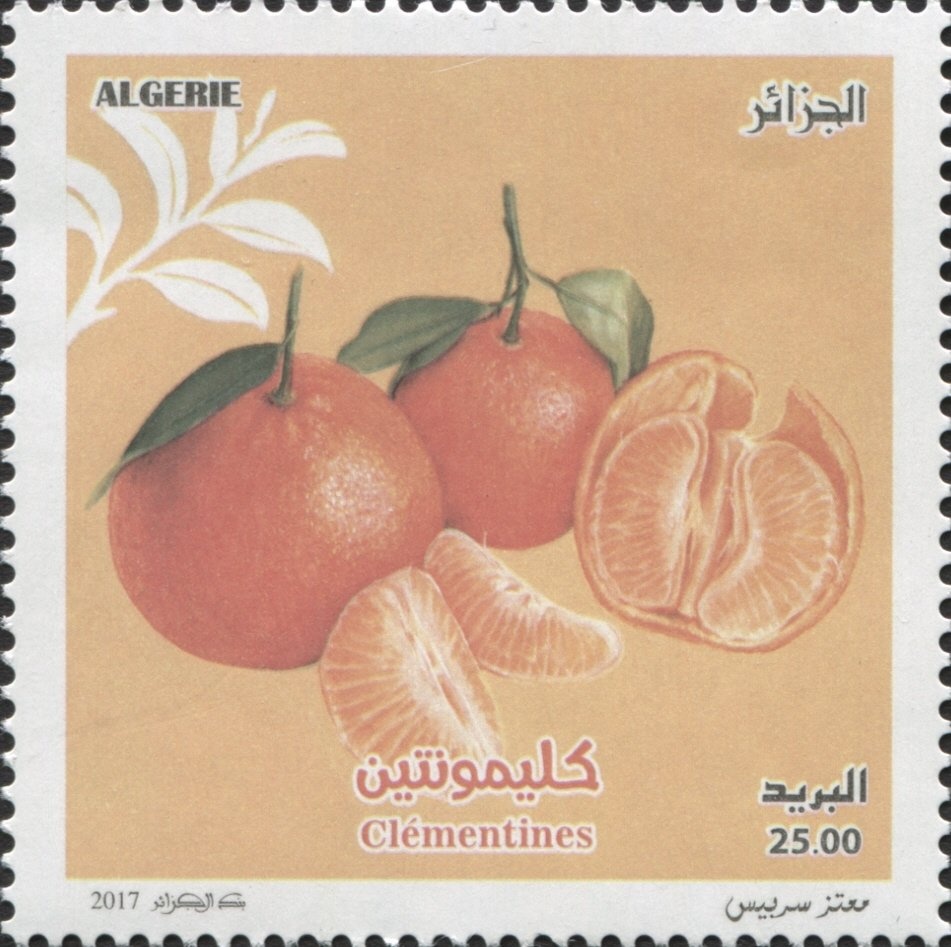 2024 Agricultural Census