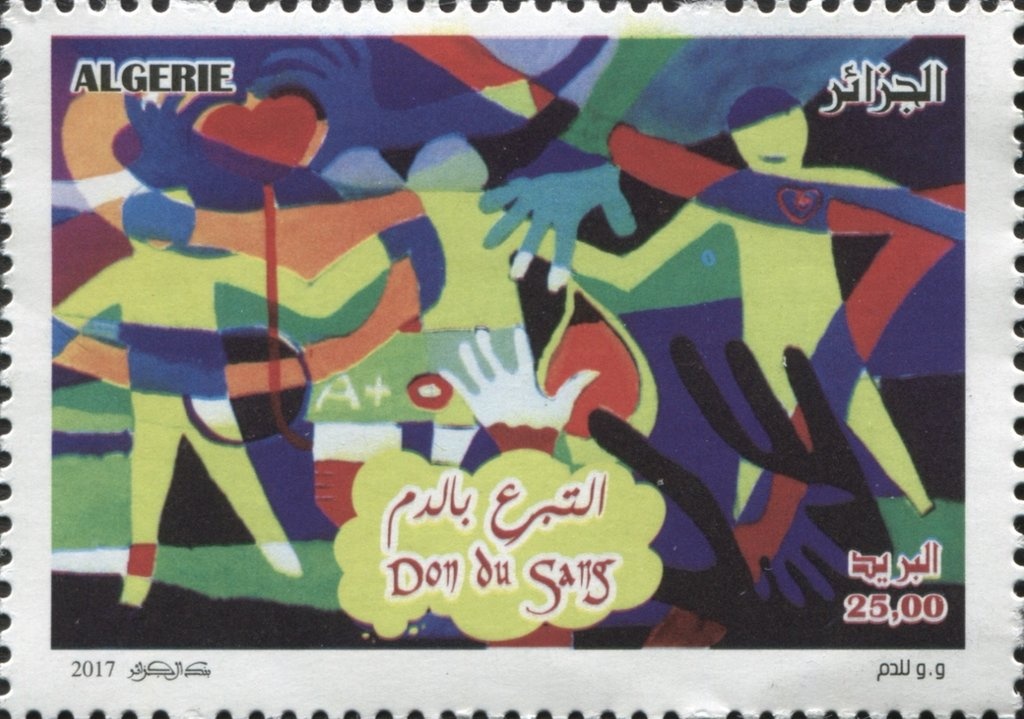 Algerian Fir (Abies numidica)