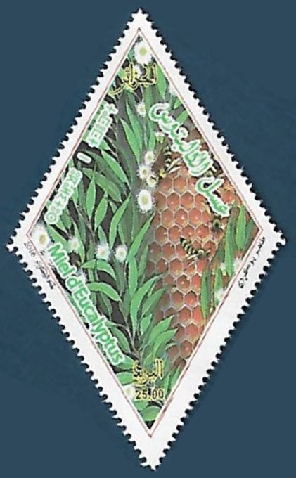 Sportgames small countries