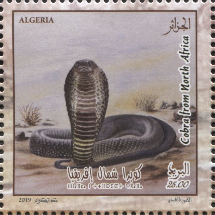 Total view of Andorra la Vella