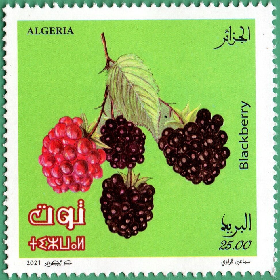 The Bologhine Fountain