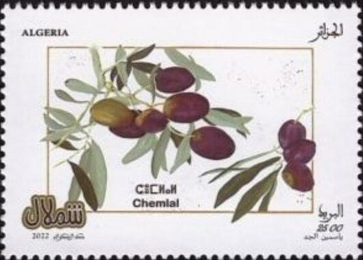 Coat of Arms of Constantine