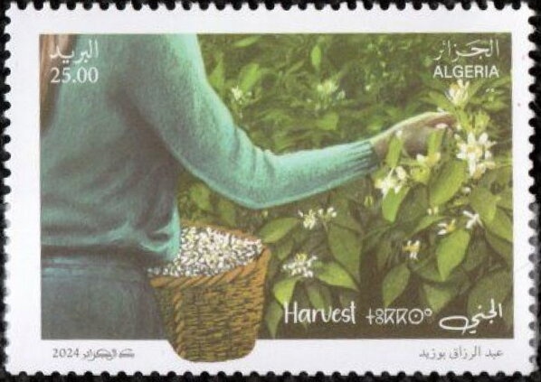 Carpet with National Motifs