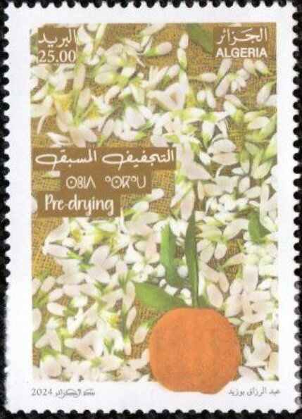 "General Post Office" overprinted TRAITE DE VERSAILLES