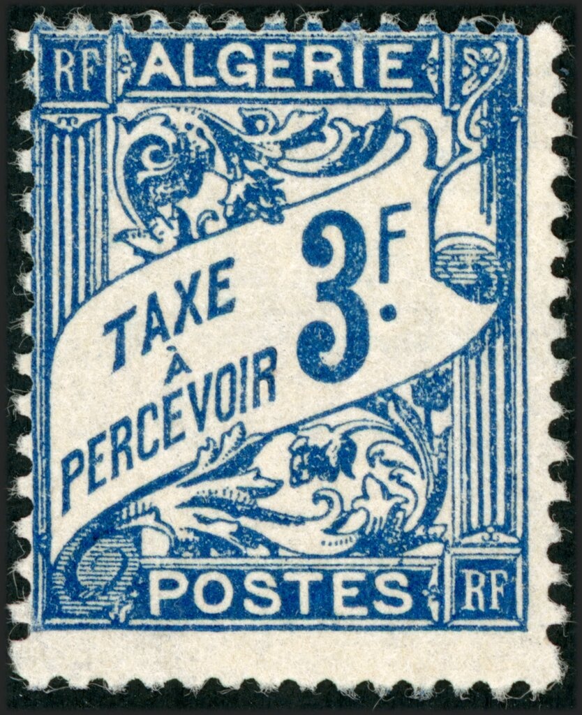 Black Stork (Ciconia nigra)